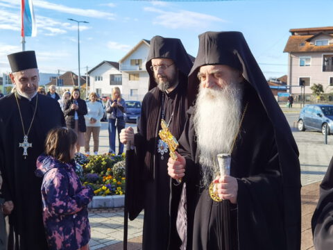 IMG_20231112_085635_resize