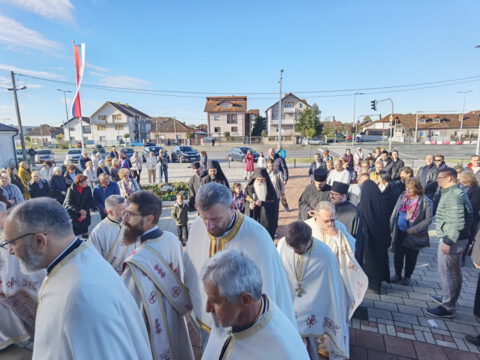 IMG_20231112_085641_resize