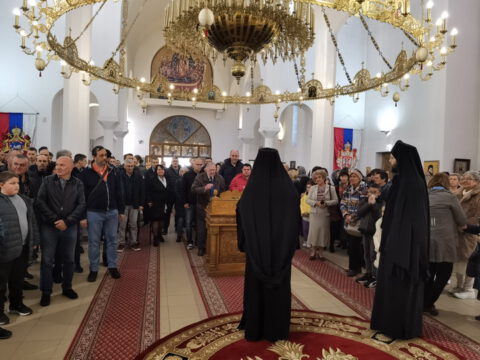 IMG_20231112_085840_resize