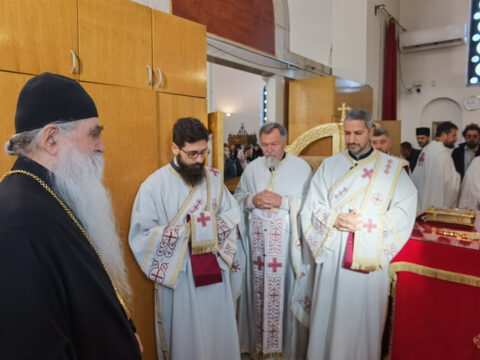 IMG_20231112_090046_resize