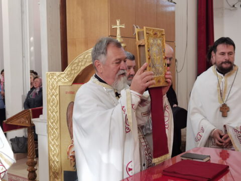 IMG_20231112_090126_resize