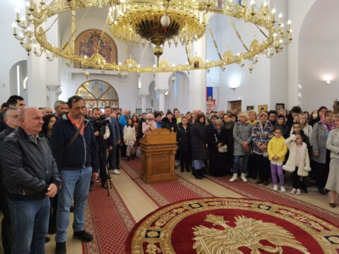 IMG_20231112_090438_resize