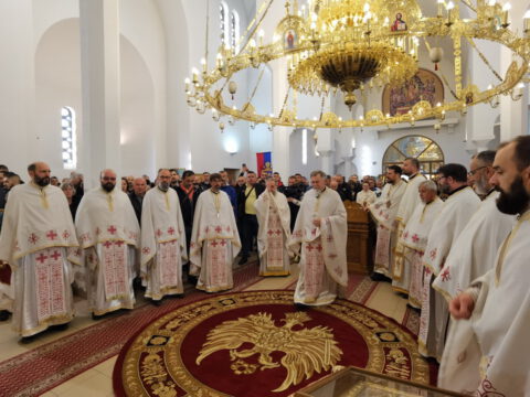 IMG_20231112_091031_resize