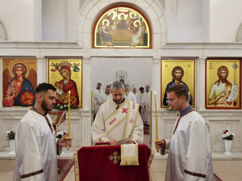 IMG_20231112_092342_resize