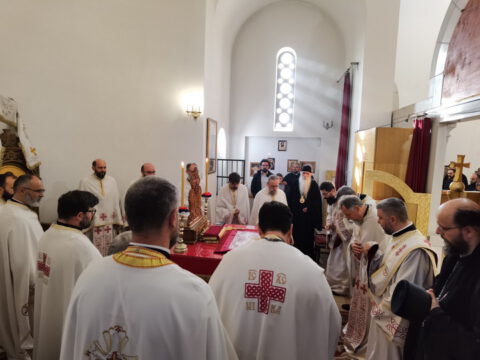 IMG_20231112_094114_resize