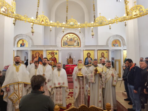 IMG_20231112_094307_resize