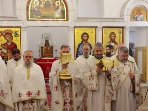 IMG_20231112_094320_resize