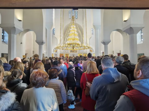 IMG_20231112_094746_resize