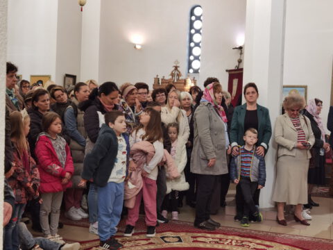 IMG_20231112_101224_resize