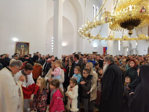 IMG_20231112_102410_resize