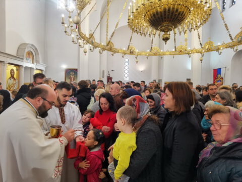 IMG_20231112_102431_resize