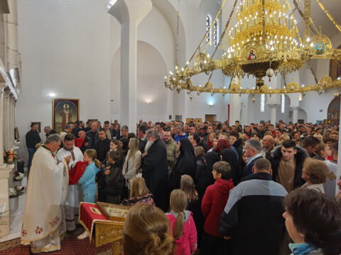 IMG_20231112_102454_resize