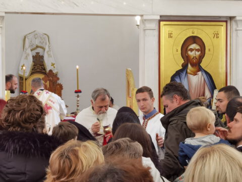 IMG_20231112_102555_resize