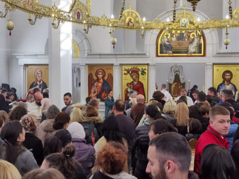 IMG_20231112_102625_resize