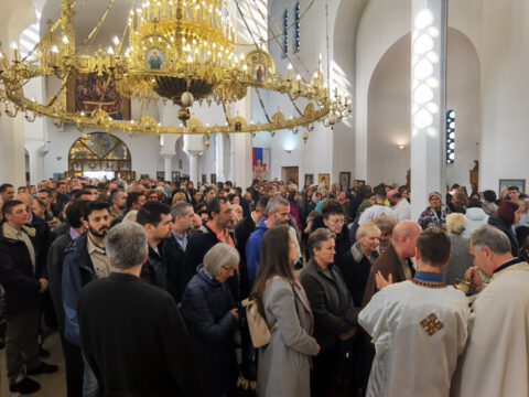 IMG_20231112_102841_resize