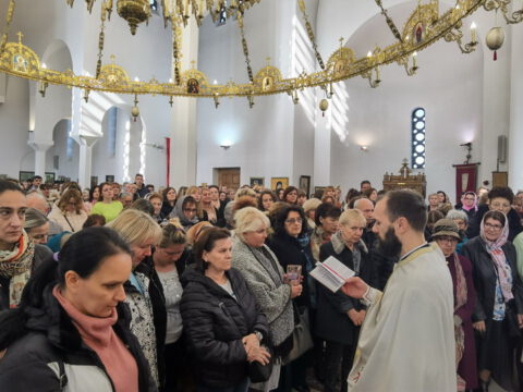 IMG_20231112_104136_resize