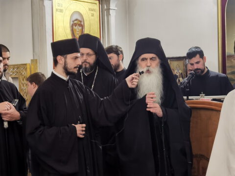 IMG_20231112_104248_resize