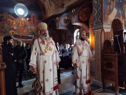 IMG_20231121_080225_resize