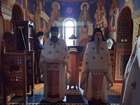 IMG_20231121_080249_resize