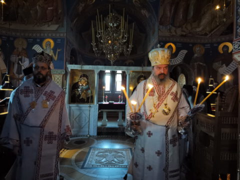 IMG_20231121_080603_resize