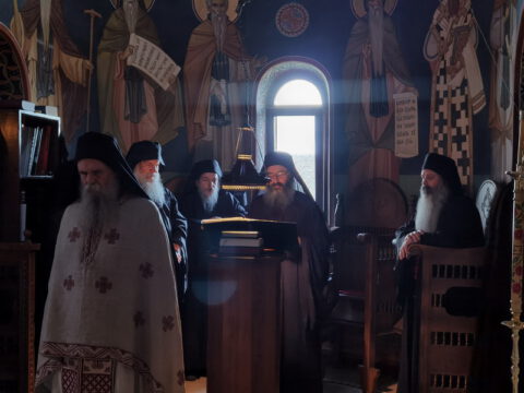 IMG_20231121_081244_resize