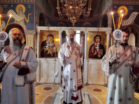 IMG_20231121_082601_resize