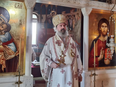 IMG_20231121_082942_resize