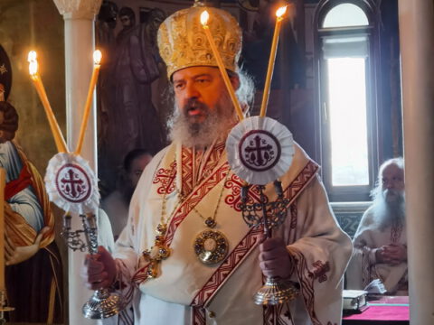 IMG_20231121_083532_resize