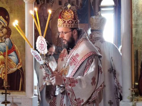 IMG_20231121_083653_resize