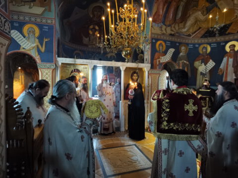 IMG_20231121_091856_resize