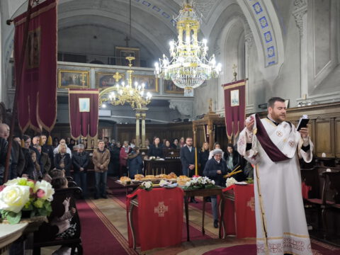 IMG_20231121_092835_resize