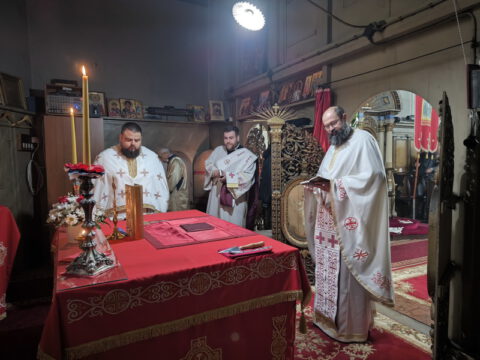 IMG_20231121_092940_resize