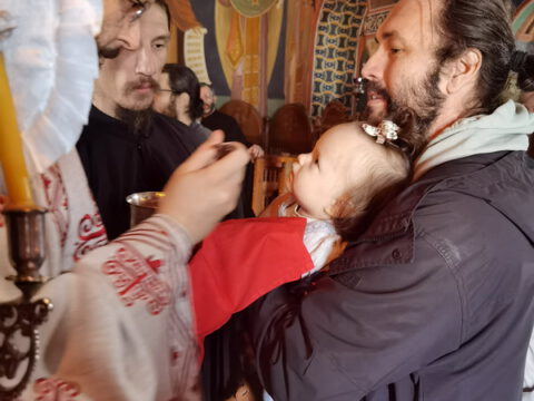 IMG_20231121_094948_resize