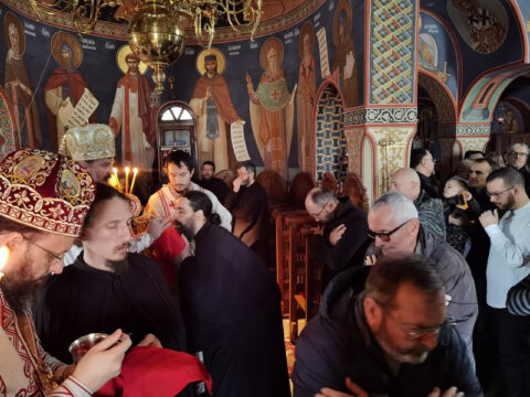 IMG_20231121_095027_resize