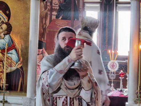 IMG_20231121_095758_resize