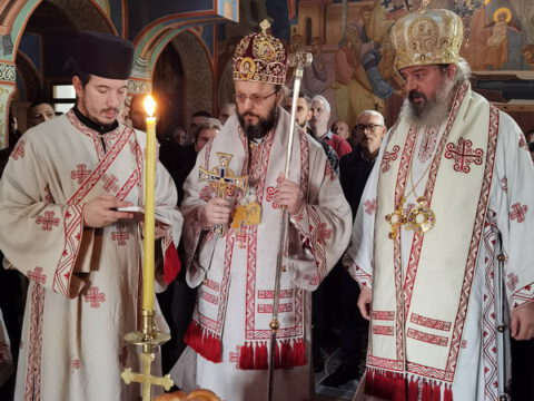 IMG_20231121_100128_resize