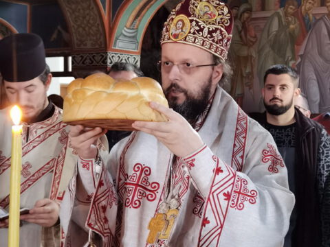 IMG_20231121_100309_resize