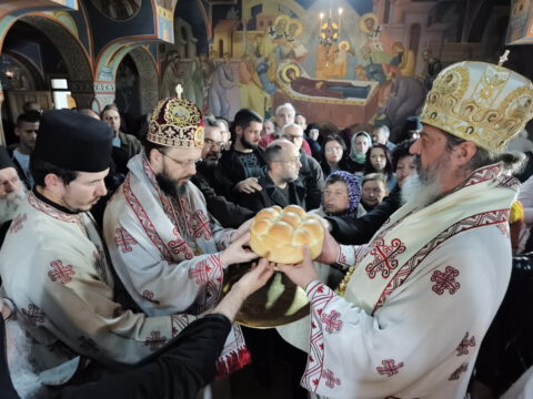 IMG_20231121_100353_resize