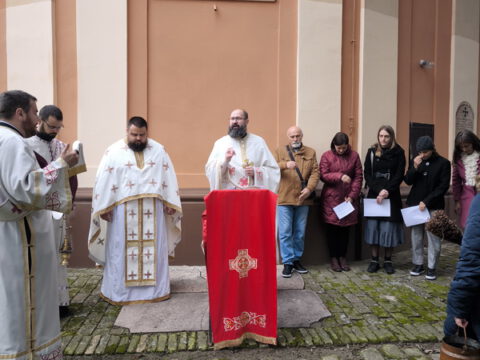 IMG_20231121_101812_resize