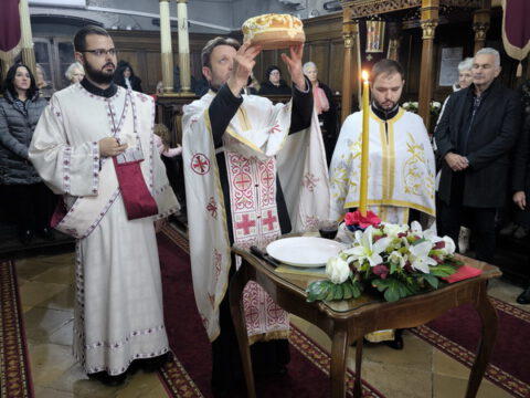 IMG_20231121_173342_resize