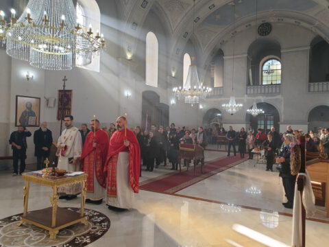 image_6483441_resize