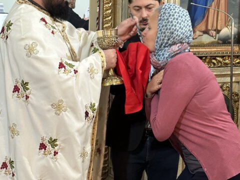 viber_slika_2023-11-12_11-34-45-535_resize