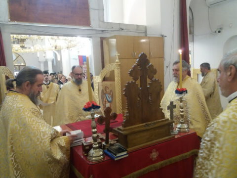 1702207097015_resize