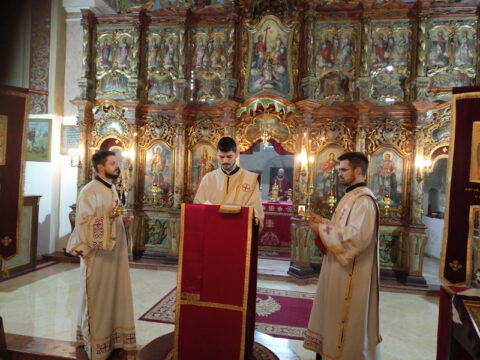 IMG20231207093405_BURST001_resize