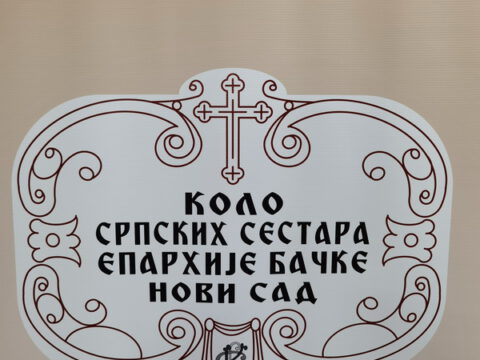 IMG_20231201_184446_resize