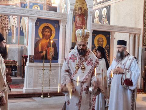 IMG_20231217_074025_resize