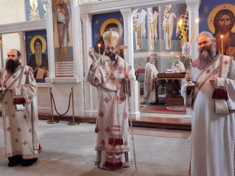 IMG_20231217_075950_resize