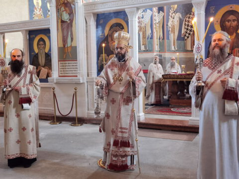 IMG_20231217_075952_resize