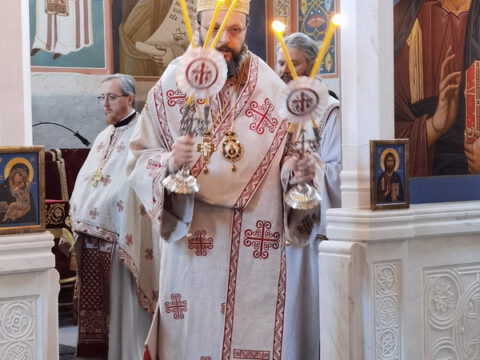 IMG_20231217_080838_resize