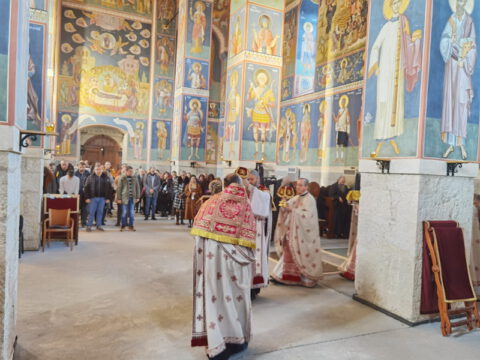 IMG_20231217_084154_resize